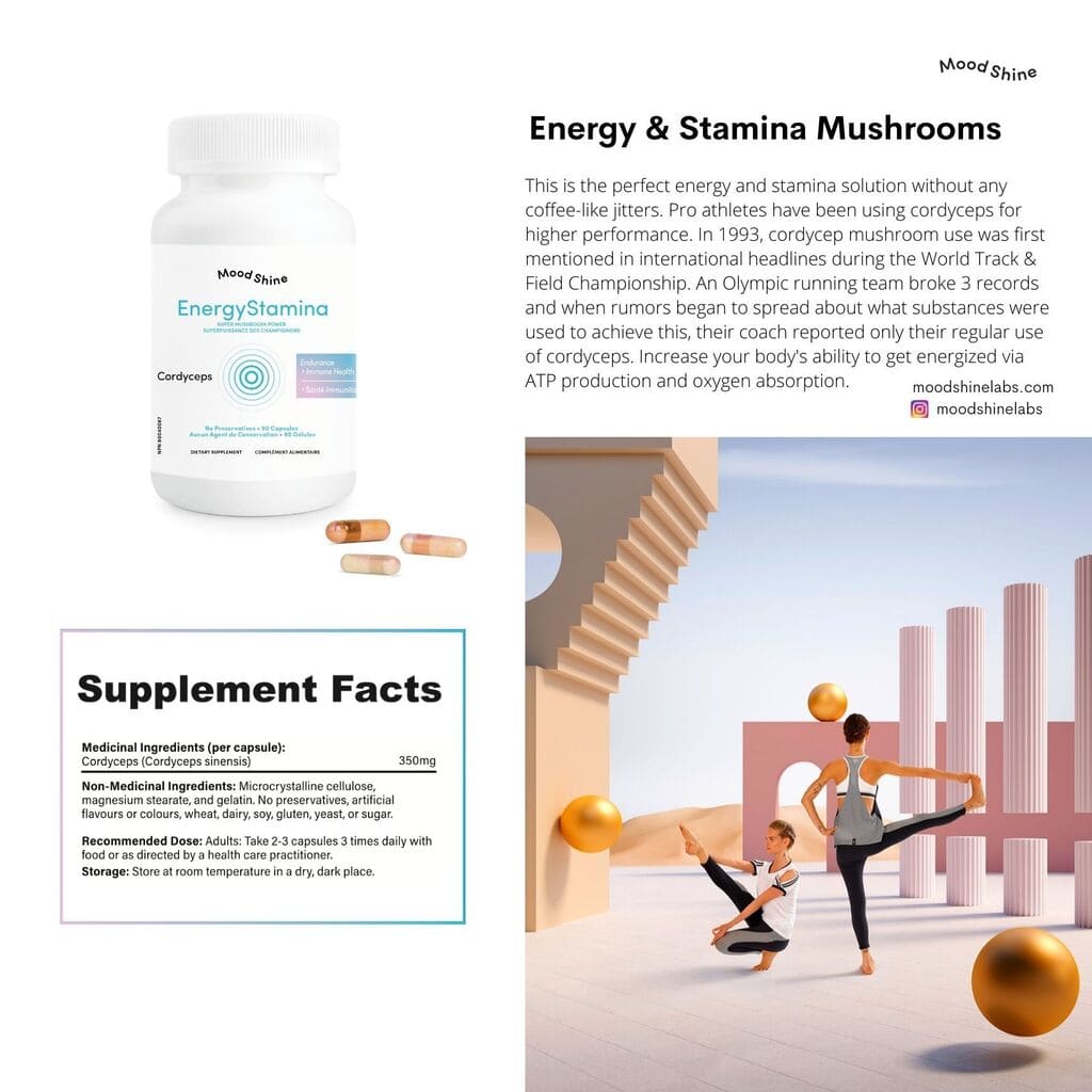 Mood Shine Energy & Stamina Cordycep Mushroom Boost - Multiverse