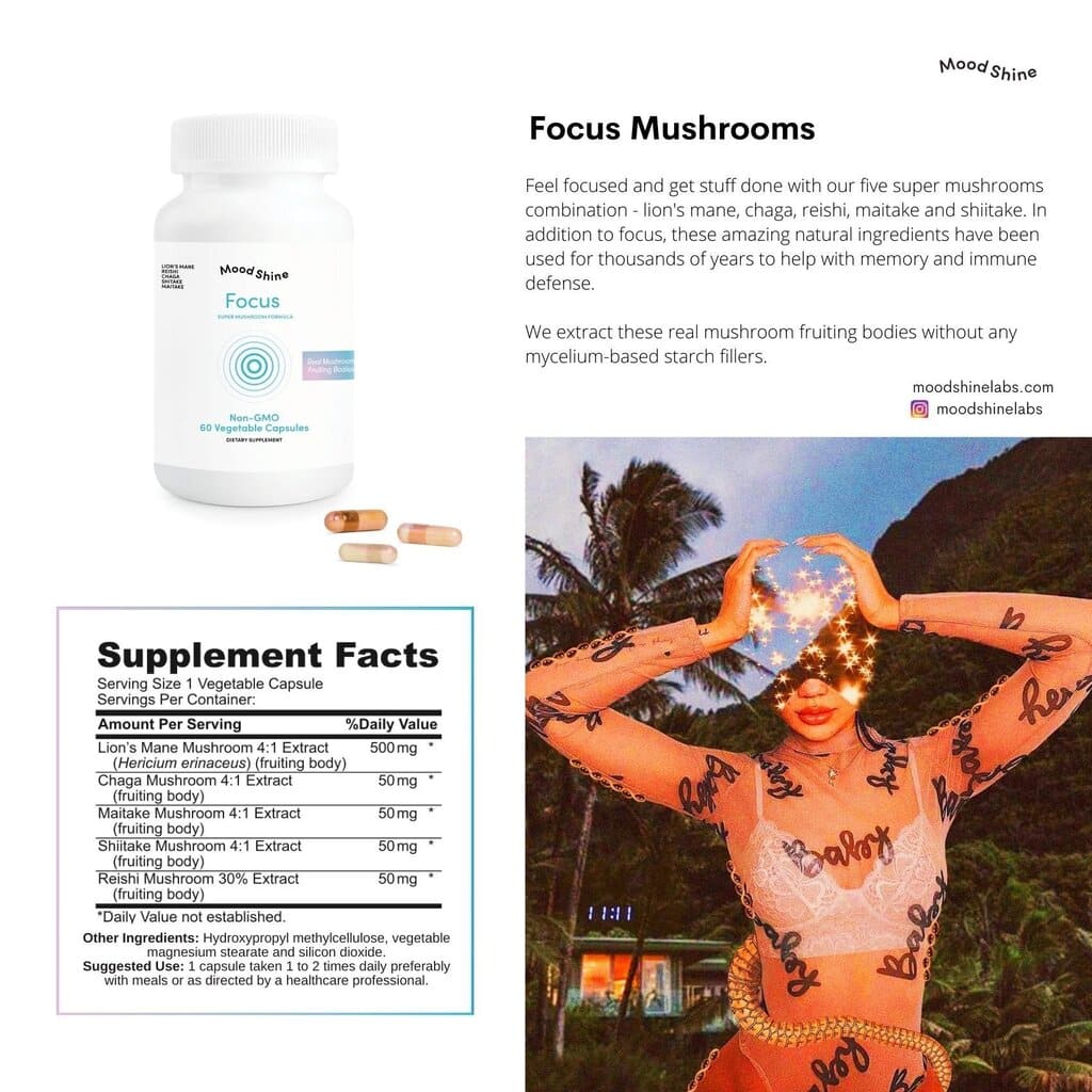 Mood Shine Focus & Memory Lion's Mane Mushroom Boost - Multiverse
