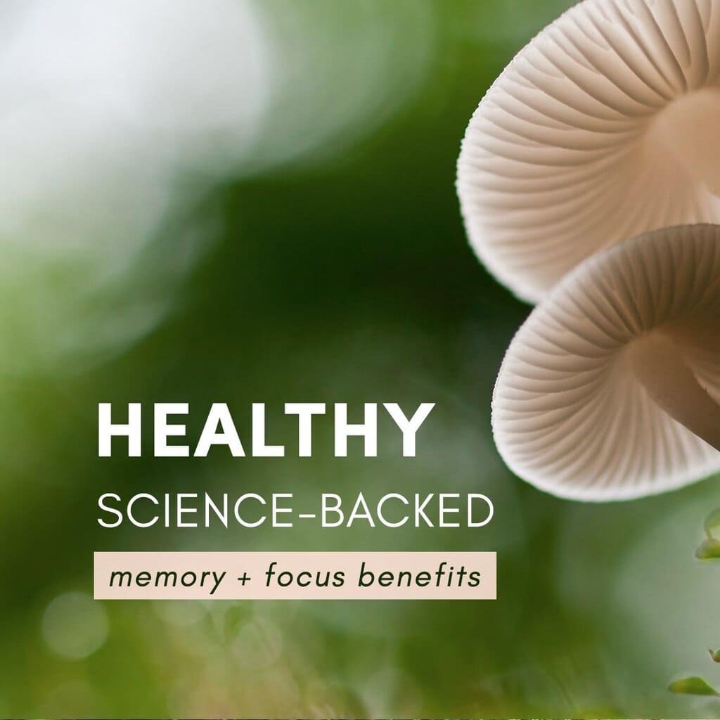 Mood Shine Memory + Focus Gummies - Multiverse