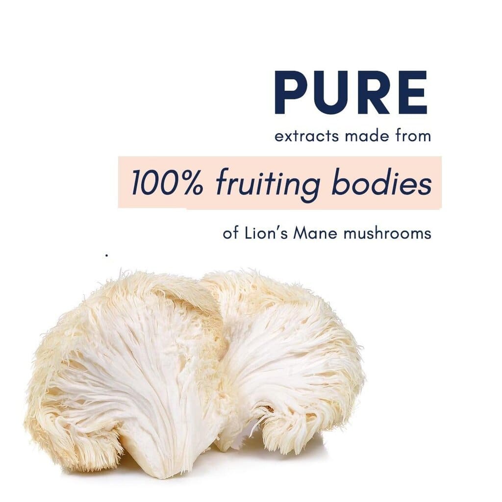 Mood Shine Memory + Focus Gummies - Multiverse