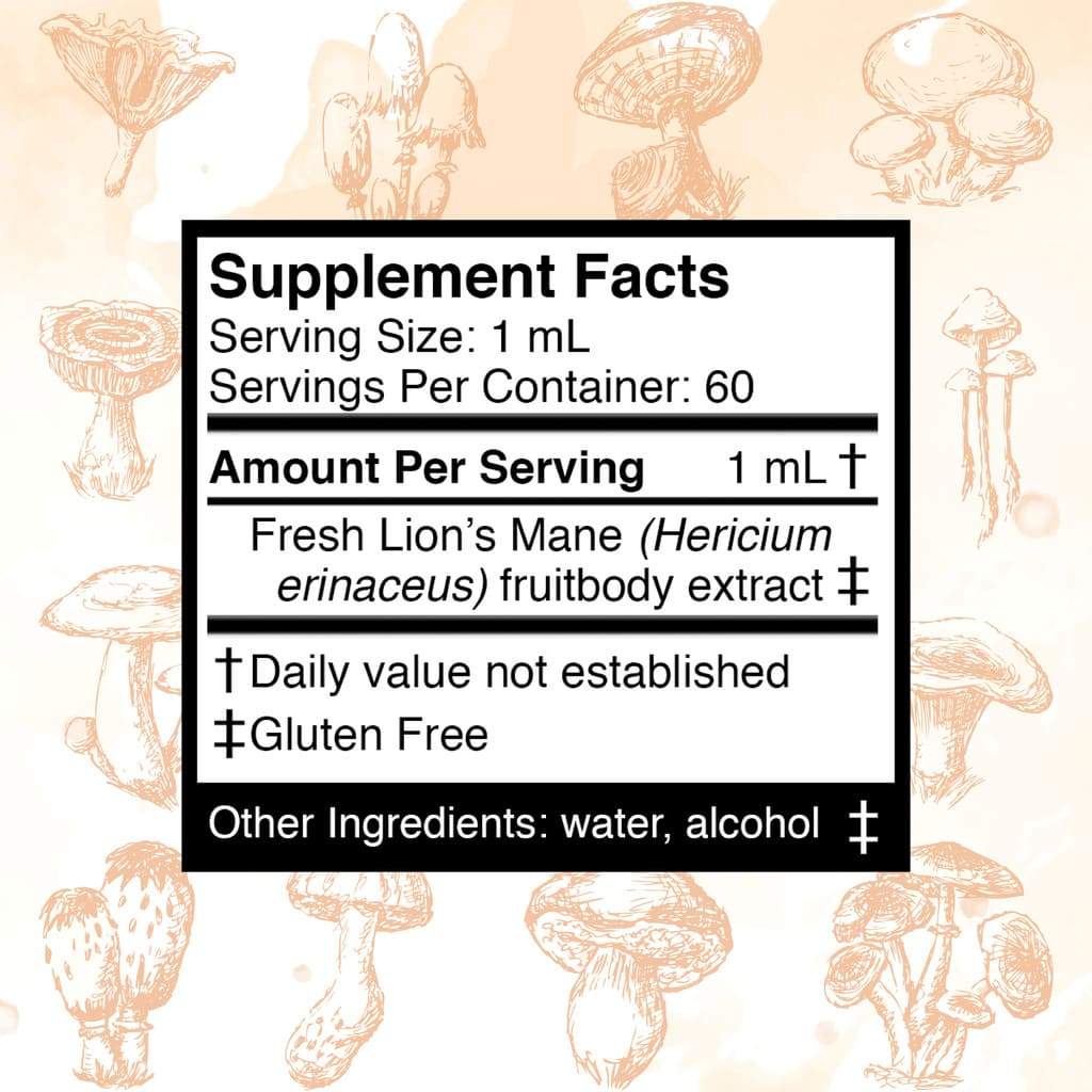 Üphoric Urth FOCUS - Lions Mane Mushroom - Double Extracted Tincture - Multiverse