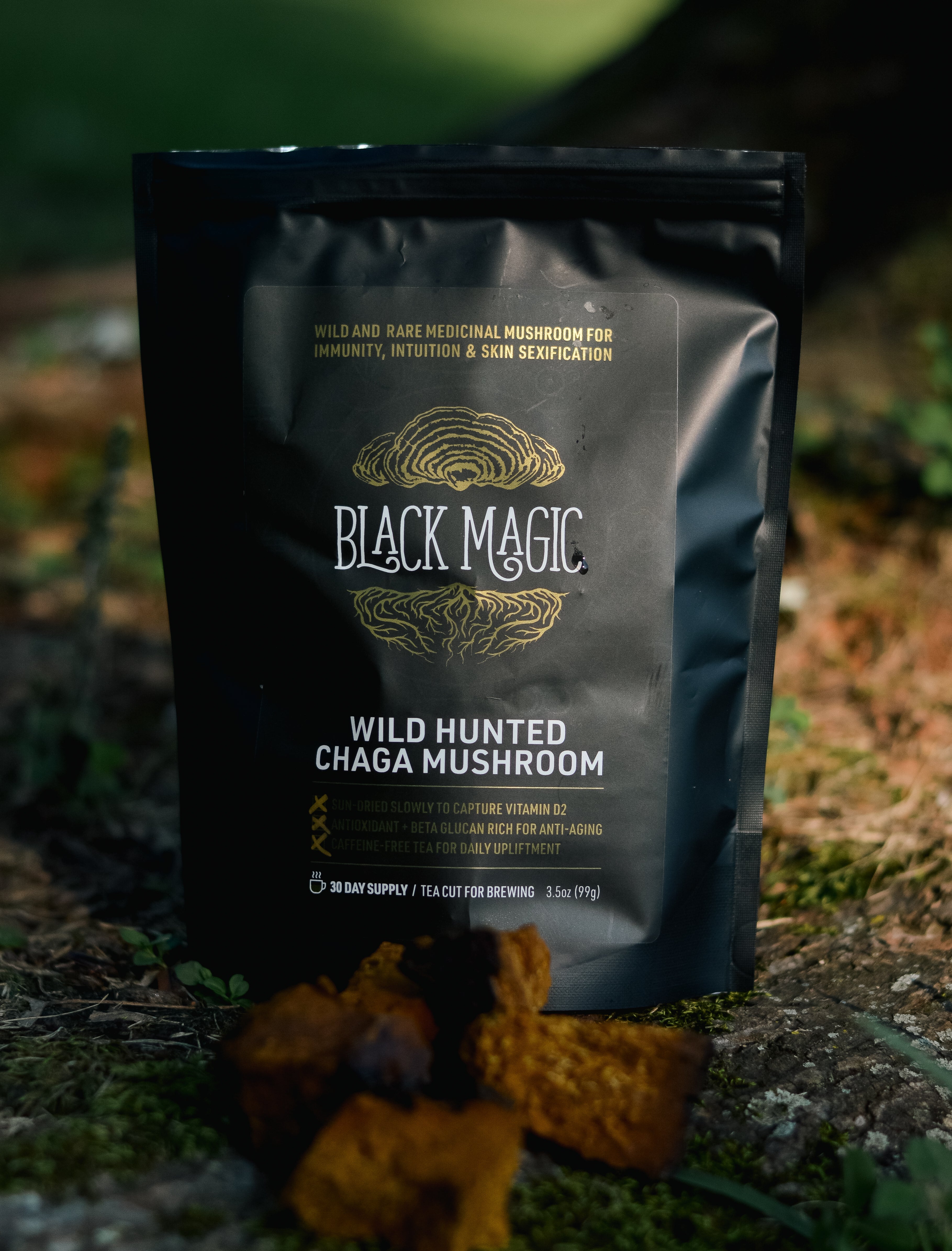 Black Magic Alchemy Sustainably Wild Harvested Chaga Mushroom Tea - Multiverse