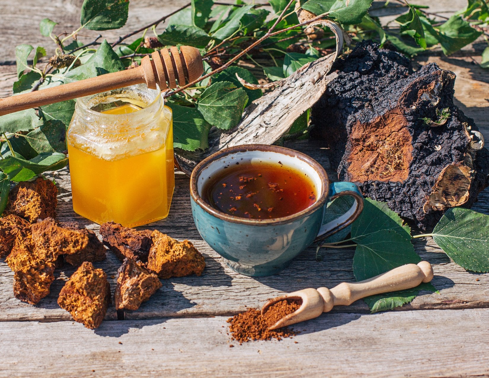 Black Magic Alchemy Sustainably Wild Harvested Chaga Mushroom Tea - Multiverse