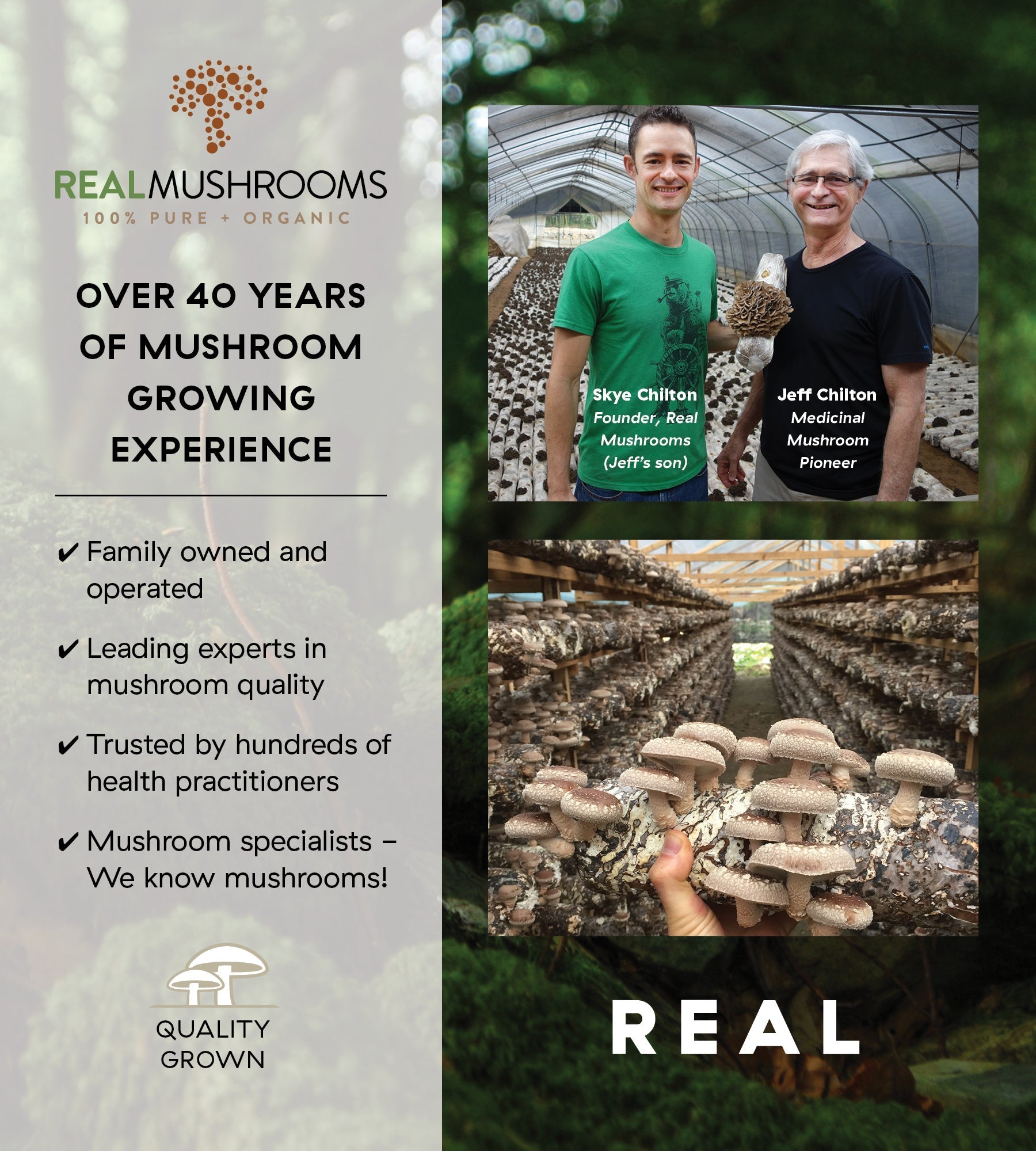 Real Mushrooms Organic Reishi Mushroom Capsules - Multiverse